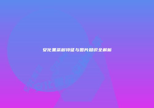 安化黑茶树特征与图片知识全解析