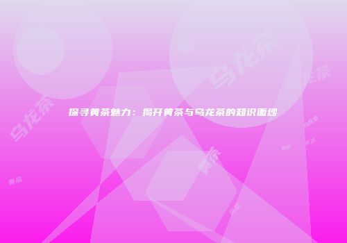 探寻黄茶魅力：揭开黄茶与乌龙茶的知识面纱