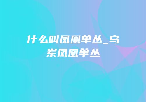 什么叫凤凰单丛_乌岽凤凰单丛