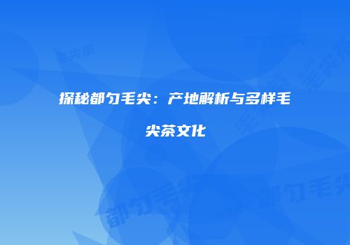 探秘都匀毛尖：产地解析与多样毛尖茶文化