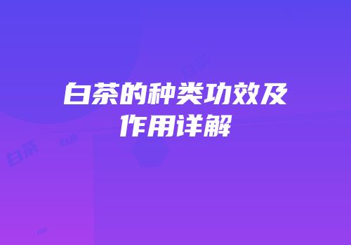 白茶的种类功效及作用详解