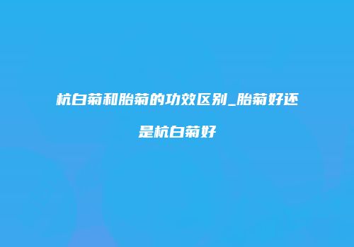 杭白菊和胎菊的功效区别_胎菊好还是杭白菊好