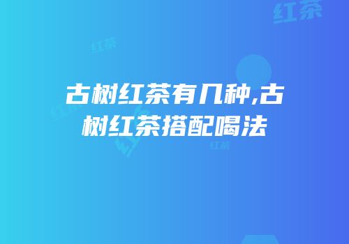 古树红茶有几种,古树红茶搭配喝法