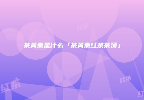 茶黄素是什么「茶黄素红茶茶汤」