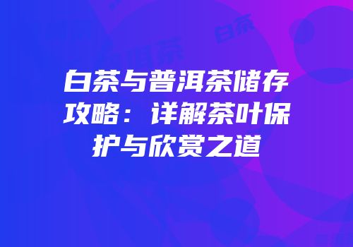 白茶与普洱茶储存攻略：详解茶叶保护与欣赏之道