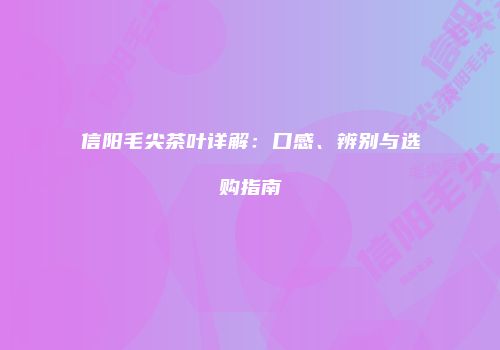 信阳毛尖茶叶详解：口感、辨别与选购指南