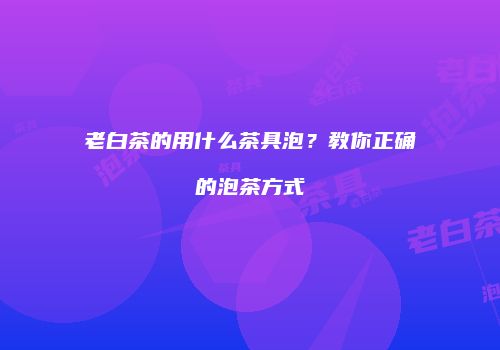 老白茶的用什么茶具泡？教你正确的泡茶方式