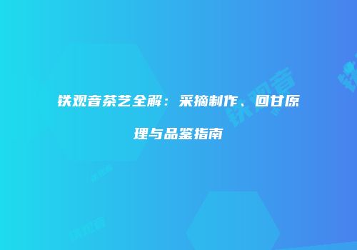 铁观音茶艺全解：采摘制作、回甘原理与品鉴指南