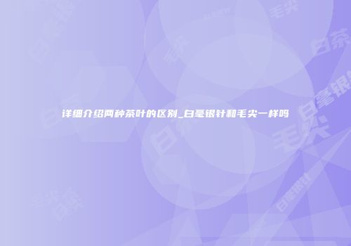 详细介绍两种茶叶的区别_白毫银针和毛尖一样吗