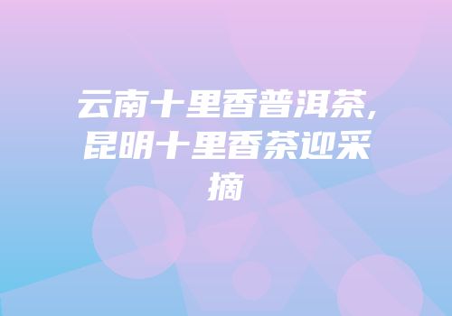 云南十里香普洱茶,昆明十里香茶迎采摘