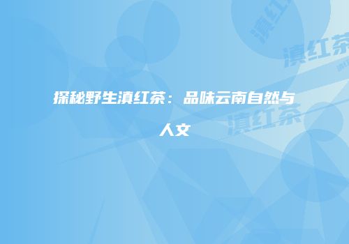 探秘野生滇红茶：品味云南自然与人文