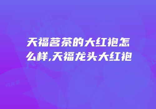 天福茗茶的大红袍怎么样,天福龙头大红袍