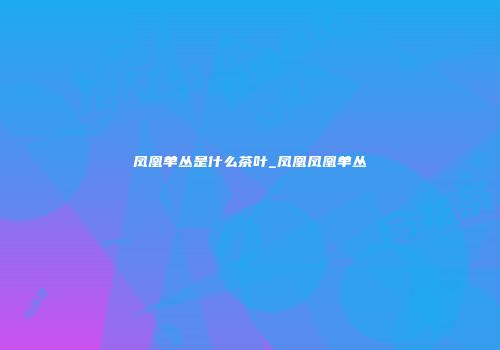 凤凰单丛是什么茶叶_凤凰凤凰单丛