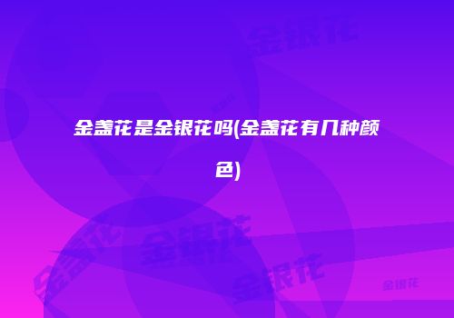 金盏花是金银花吗(金盏花有几种颜色)