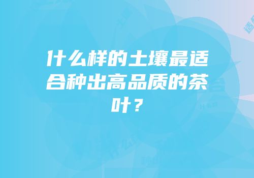 什么样的土壤最适合种出高品质的茶叶？