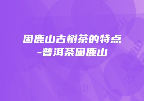 困鹿山古树茶的特点-普洱茶困鹿山