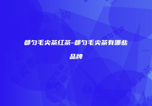 都匀毛尖茶红茶-都匀毛尖茶有哪些品牌