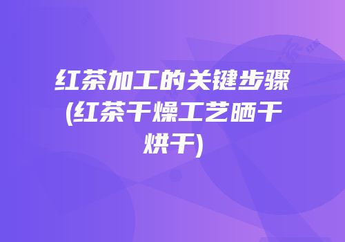 红茶加工的关键步骤(红茶干燥工艺晒干烘干)