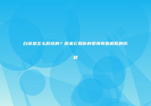 白茶是怎么形成的？原来它和你的爱情有着相似的历程
