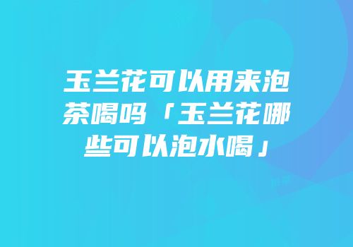 玉兰花可以用来泡茶喝吗「玉兰花哪些可以泡水喝」