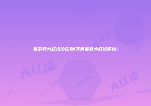 岩茶和大红袍的区别(武夷岩茶大红袍喝法)