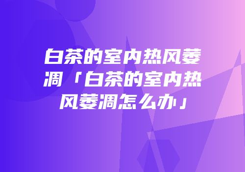 白茶的室内热风萎凋「白茶的室内热风萎凋怎么办」