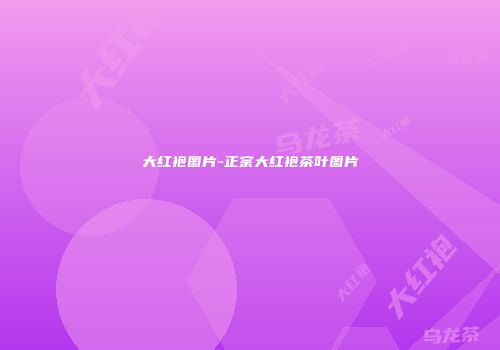 大红袍图片-正宗大红袍茶叶图片