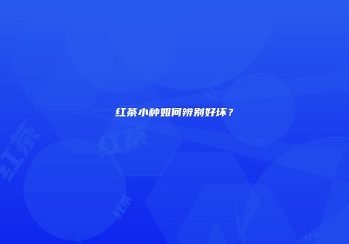红茶小种如何辨别好坏？