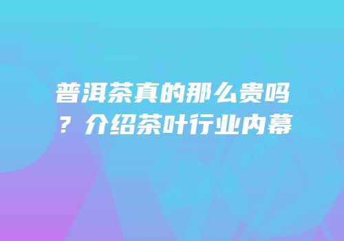 普洱茶真的那么贵吗？介绍茶叶行业内幕