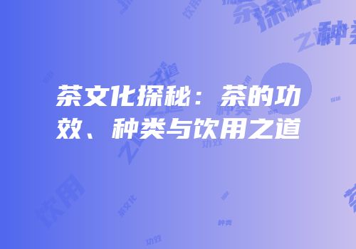茶文化探秘：茶的功效、种类与饮用之道