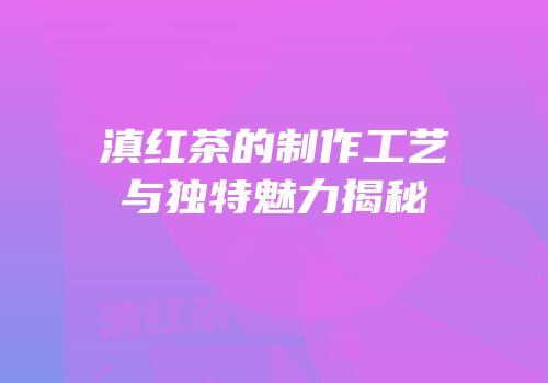 滇红茶的制作工艺与独特魅力揭秘