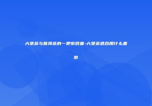 六堡茶与普洱茶的一把紫砂壶-六堡茶适合用什么壶泡