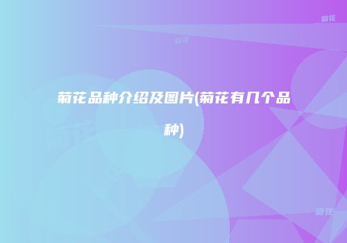 菊花品种介绍及图片(菊花有几个品种)