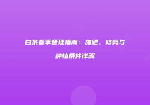 白茶春季管理指南：施肥、修剪与种植条件详解
