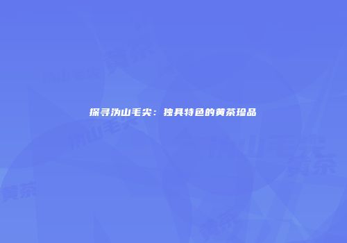 探寻沩山毛尖：独具特色的黄茶珍品