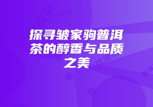 探寻皱家驹普洱茶的醇香与品质之美