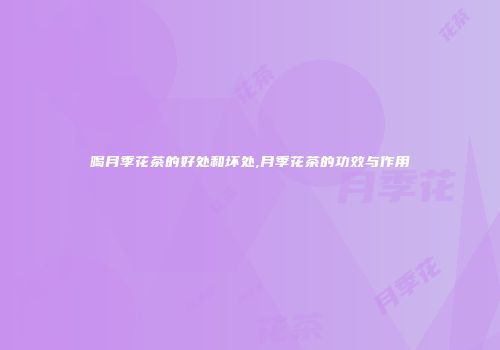 喝月季花茶的好处和坏处,月季花茶的功效与作用