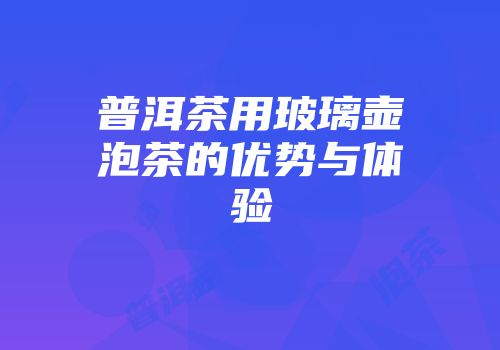 普洱茶用玻璃壶泡茶的优势与体验