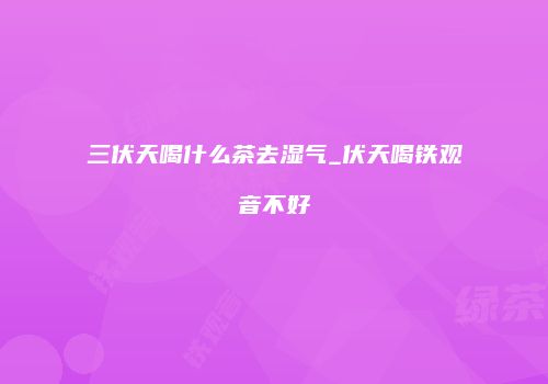三伏天喝什么茶去湿气_伏天喝铁观音不好