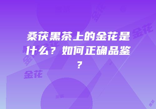 桑茯黑茶上的金花是什么？如何正确品鉴？