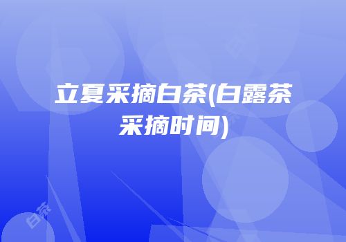 立夏采摘白茶(白露茶采摘时间)