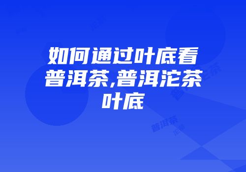 如何通过叶底看普洱茶,普洱沱茶叶底