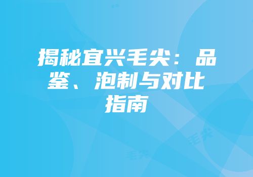 揭秘宜兴毛尖：品鉴、泡制与对比指南