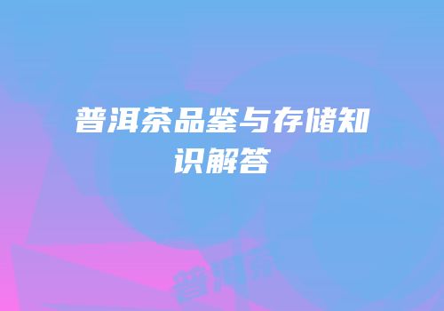 普洱茶品鉴与存储知识解答