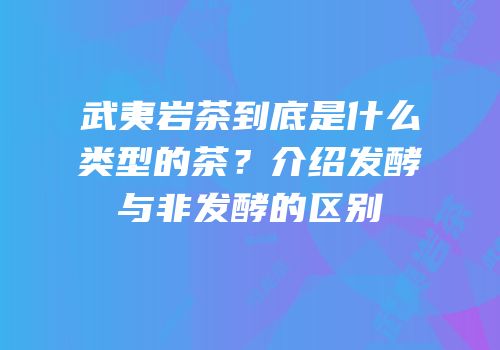 武夷岩茶到底是什么类型的茶？介绍发酵与非发酵的区别
