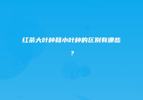 红茶大叶种和小叶种的区别有哪些？