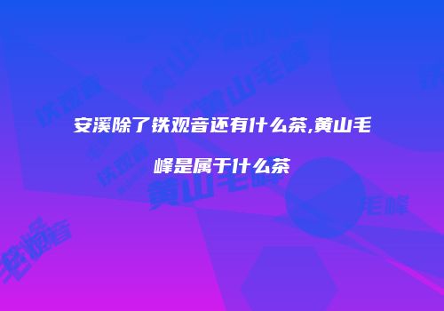 安溪除了铁观音还有什么茶,黄山毛峰是属于什么茶