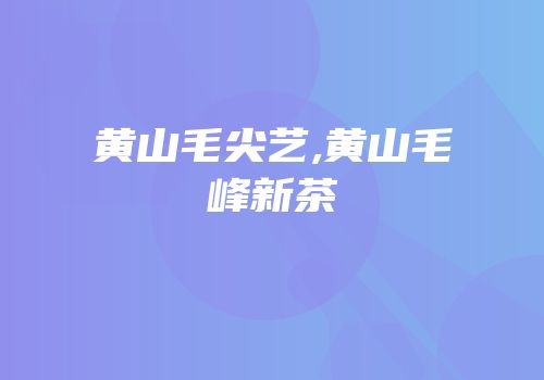 黄山毛尖艺,黄山毛峰新茶