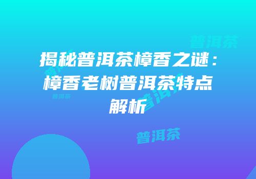 揭秘普洱茶樟香之谜：樟香老树普洱茶特点解析