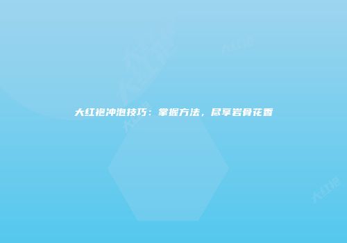 大红袍冲泡技巧：掌握方法，尽享岩骨花香